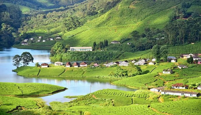 Kerala Tour –  5 Nights / 6 Days
