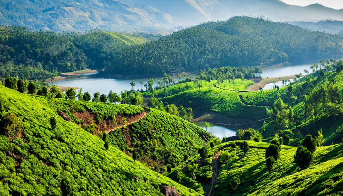 Kerala Tour –  4 Nights / 5 Days