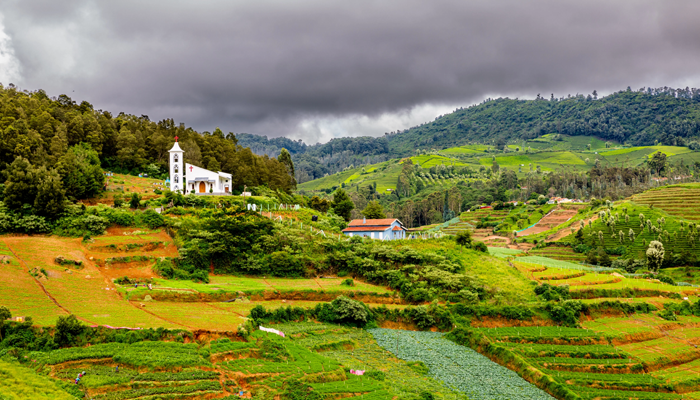 Ooty Tour –  3 Nights / 4 Days